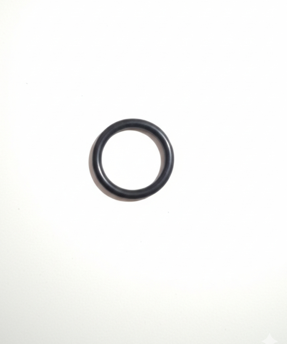 O-RING